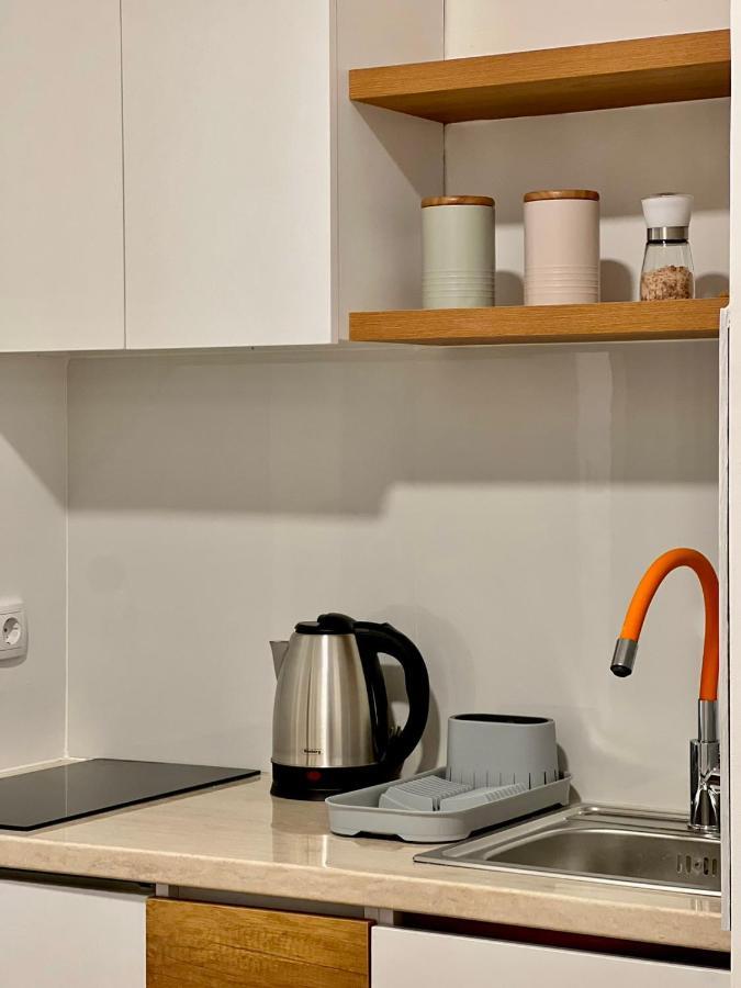 Dani Lux Belgrade Center Studio Apartment Belgrado Exterior foto